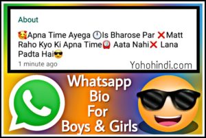 whatsapp bio
