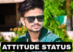 Attitude status