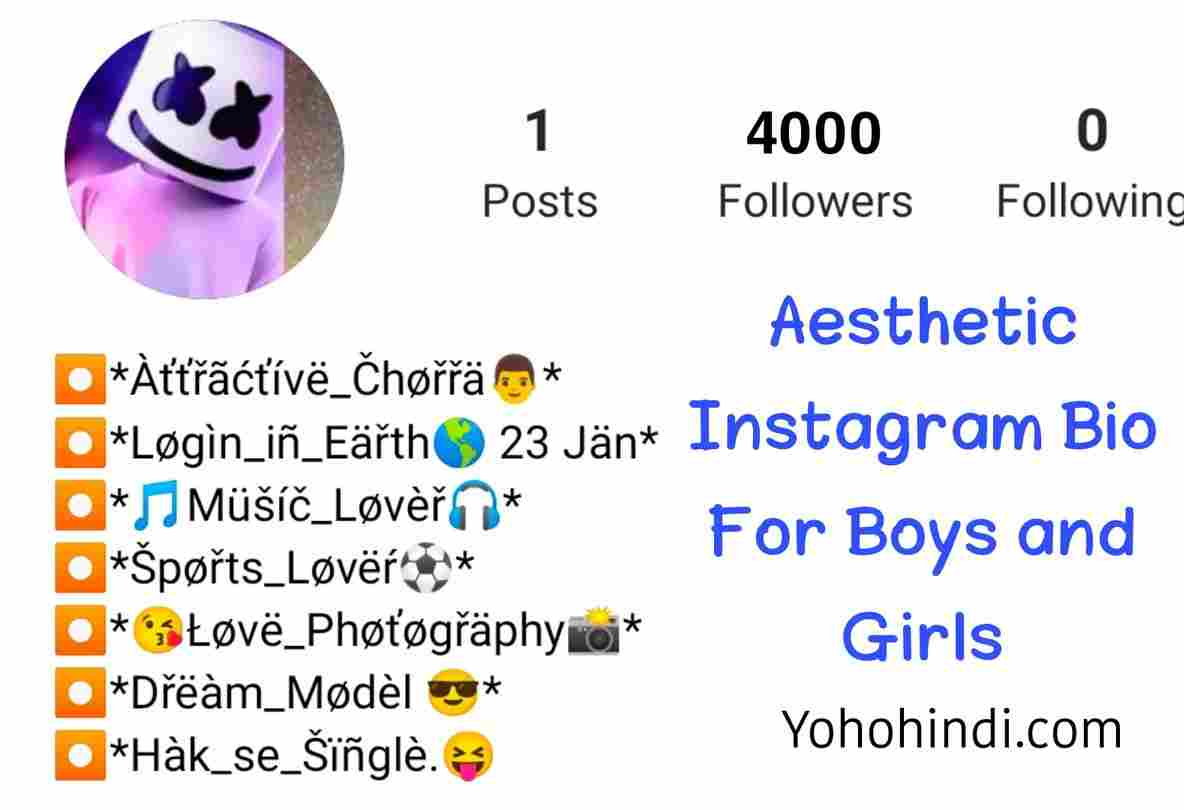 Aesthetic Bio for Instagram