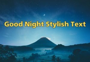 Good Night Stylish Text