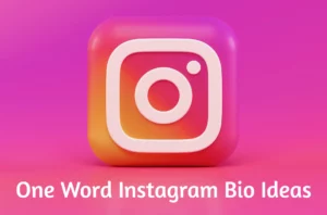 One Word Bio For Instagram