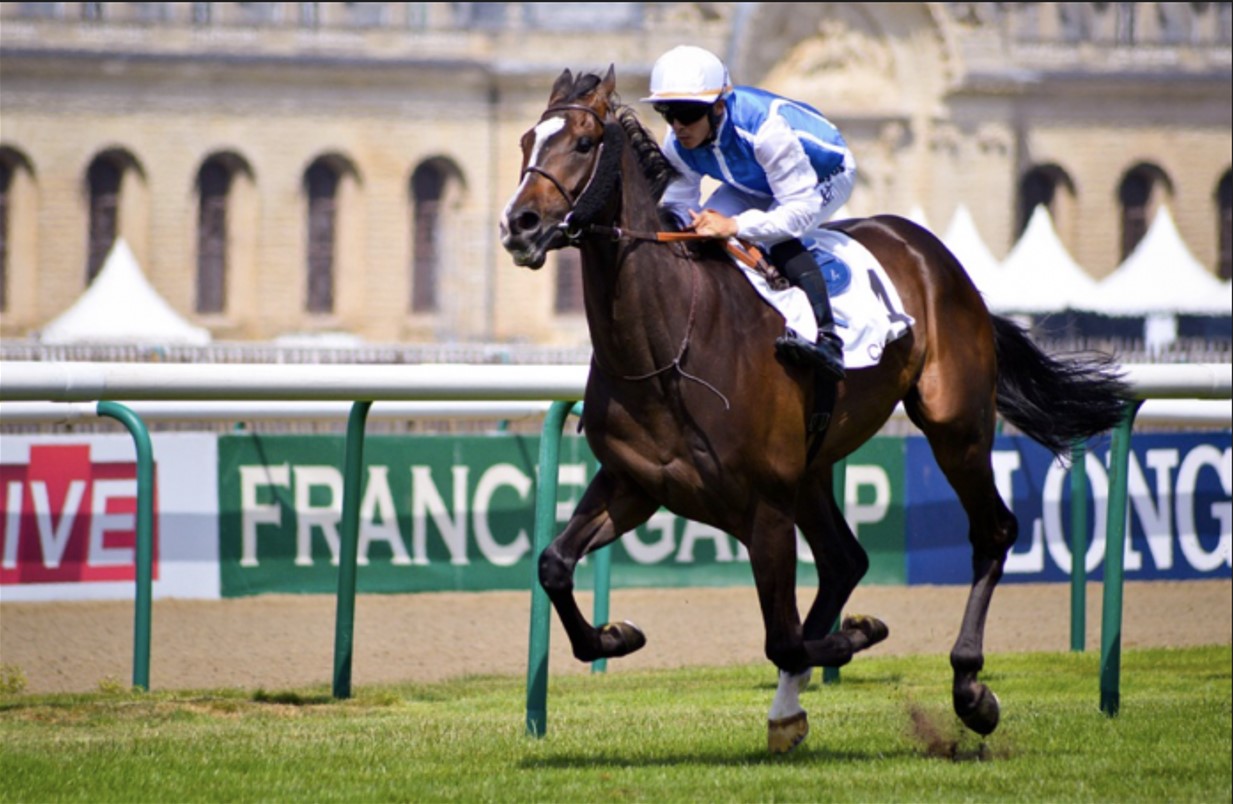 Saddle Up for Success Proven Strategies for Horse Race Betting