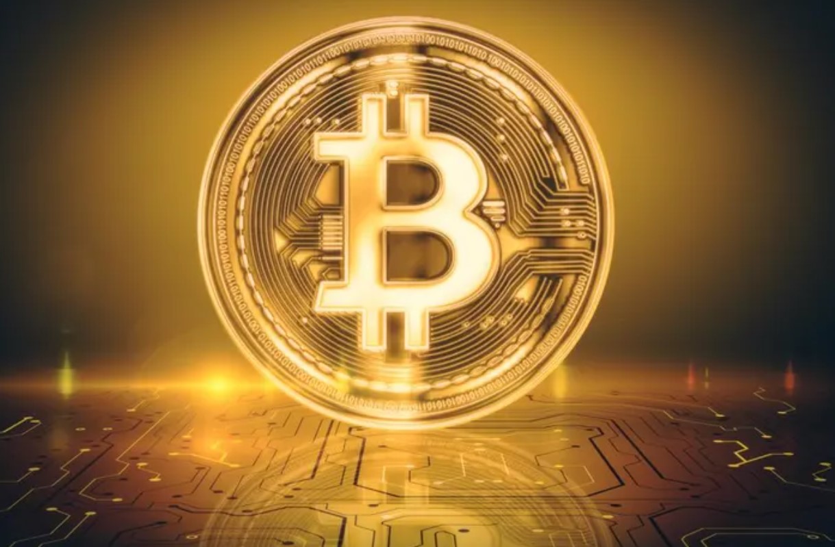 Bitcoin as a Savings Tool User Experiences and Insights